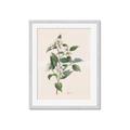 Picture of Swaying Foliage IV _GroupedProduct_Rectangle_Portrait_Framed_Matted_