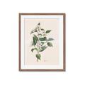 Picture of Swaying Foliage IV _GroupedProduct_Rectangle_Portrait_Framed_Matted_