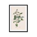 Picture of Swaying Foliage IV _GroupedProduct_Rectangle_Portrait_Framed_Matted_