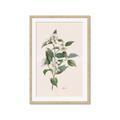 Picture of Swaying Foliage IV _GroupedProduct_Rectangle_Portrait_Framed_Matted_