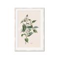 Picture of Swaying Foliage IV _GroupedProduct_Rectangle_Portrait_Framed_Matted_