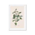 Picture of Swaying Foliage IV _GroupedProduct_Rectangle_Portrait_Framed_Matted_