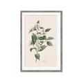 Picture of Swaying Foliage IV _GroupedProduct_Rectangle_Portrait_Framed_Matted_