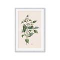 Picture of Swaying Foliage IV _GroupedProduct_Rectangle_Portrait_Framed_Matted_