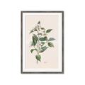 Picture of Swaying Foliage IV _GroupedProduct_Rectangle_Portrait_Framed_Matted_