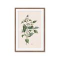 Picture of Swaying Foliage IV _GroupedProduct_Rectangle_Portrait_Framed_Matted_
