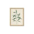 Picture of Swaying Foliage V _GroupedProduct_Rectangle_Portrait_Framed_Matted_