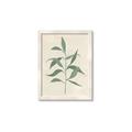 Picture of Swaying Foliage V _GroupedProduct_Rectangle_Portrait_Framed_Matted_