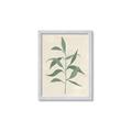 Picture of Swaying Foliage V _GroupedProduct_Rectangle_Portrait_Framed_Matted_