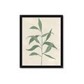 Picture of Swaying Foliage V _GroupedProduct_Rectangle_Portrait_Framed_Matted_