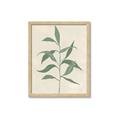 Picture of Swaying Foliage V _GroupedProduct_Rectangle_Portrait_Framed_Matted_