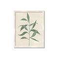 Picture of Swaying Foliage V _GroupedProduct_Rectangle_Portrait_Framed_Matted_