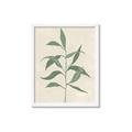 Picture of Swaying Foliage V _GroupedProduct_Rectangle_Portrait_Framed_Matted_