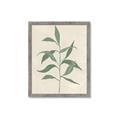 Picture of Swaying Foliage V _GroupedProduct_Rectangle_Portrait_Framed_Matted_