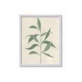 Picture of Swaying Foliage V _GroupedProduct_Rectangle_Portrait_Framed_Matted_