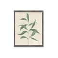 Picture of Swaying Foliage V _GroupedProduct_Rectangle_Portrait_Framed_Matted_