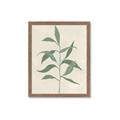 Picture of Swaying Foliage V _GroupedProduct_Rectangle_Portrait_Framed_Matted_