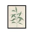 Picture of Swaying Foliage V _GroupedProduct_Rectangle_Portrait_Framed_Matted_
