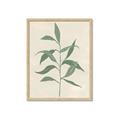 Picture of Swaying Foliage V _GroupedProduct_Rectangle_Portrait_Framed_Matted_