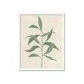 Picture of Swaying Foliage V _GroupedProduct_Rectangle_Portrait_Framed_Matted_