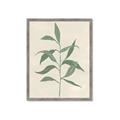 Picture of Swaying Foliage V _GroupedProduct_Rectangle_Portrait_Framed_Matted_