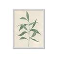 Picture of Swaying Foliage V _GroupedProduct_Rectangle_Portrait_Framed_Matted_