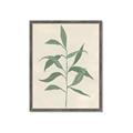 Picture of Swaying Foliage V _GroupedProduct_Rectangle_Portrait_Framed_Matted_