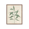Picture of Swaying Foliage V _GroupedProduct_Rectangle_Portrait_Framed_Matted_