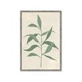 Picture of Swaying Foliage V _GroupedProduct_Rectangle_Portrait_Framed_Matted_