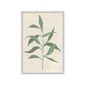 Picture of Swaying Foliage V _GroupedProduct_Rectangle_Portrait_Framed_Matted_