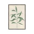 Picture of Swaying Foliage V _GroupedProduct_Rectangle_Portrait_Framed_Matted_