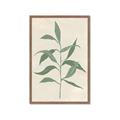 Picture of Swaying Foliage V _GroupedProduct_Rectangle_Portrait_Framed_Matted_
