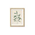 Picture of Swaying Foliage V _GroupedProduct_Rectangle_Portrait_Framed_Matted_