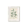 Picture of Swaying Foliage V _GroupedProduct_Rectangle_Portrait_Framed_Matted_