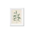 Picture of Swaying Foliage V _GroupedProduct_Rectangle_Portrait_Framed_Matted_
