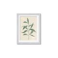 Picture of Swaying Foliage V _GroupedProduct_Rectangle_Portrait_Framed_Matted_
