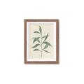 Picture of Swaying Foliage V _GroupedProduct_Rectangle_Portrait_Framed_Matted_