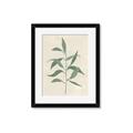 Picture of Swaying Foliage V _GroupedProduct_Rectangle_Portrait_Framed_Matted_