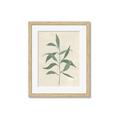 Picture of Swaying Foliage V _GroupedProduct_Rectangle_Portrait_Framed_Matted_