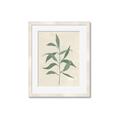 Picture of Swaying Foliage V _GroupedProduct_Rectangle_Portrait_Framed_Matted_