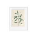 Picture of Swaying Foliage V _GroupedProduct_Rectangle_Portrait_Framed_Matted_
