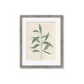 Picture of Swaying Foliage V _GroupedProduct_Rectangle_Portrait_Framed_Matted_