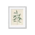 Picture of Swaying Foliage V _GroupedProduct_Rectangle_Portrait_Framed_Matted_