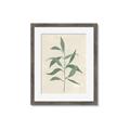 Picture of Swaying Foliage V _GroupedProduct_Rectangle_Portrait_Framed_Matted_