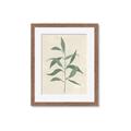 Picture of Swaying Foliage V _GroupedProduct_Rectangle_Portrait_Framed_Matted_