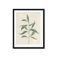 Picture of Swaying Foliage V _GroupedProduct_Rectangle_Portrait_Framed_Matted_