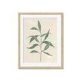 Picture of Swaying Foliage V _GroupedProduct_Rectangle_Portrait_Framed_Matted_