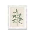 Picture of Swaying Foliage V _GroupedProduct_Rectangle_Portrait_Framed_Matted_