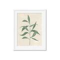 Picture of Swaying Foliage V _GroupedProduct_Rectangle_Portrait_Framed_Matted_