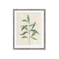 Picture of Swaying Foliage V _GroupedProduct_Rectangle_Portrait_Framed_Matted_